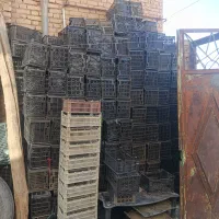 سبد|ظروف نگهدارنده، پلاستیکی، یک‌بارمصرف|تویسرکان, |دیوار
