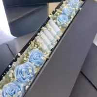 گل جاودان|گل مصنوعی|چغادک, |دیوار