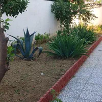 مجموعه خدماتی فضای سبز سبز آوران ارغوان|خدمات باغبانی و درختکاری|بابلسر, |دیوار