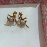گوشواره طلا در ارسنجان