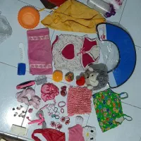 جا خواب و وسایل مورد نیاز سگ خانگی