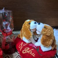 سرگرمی|اسباببازی|قم, بلوار امین و ساحلی|دیوار