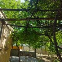 باغ 1000 متری ابتدای جاده سنندج قبل پلیس راه|فروش خانه و ویلا|کرمانشاه, |دیوار