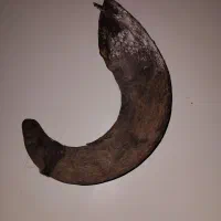 شاخ|کلکسیون و سرگرمی|ساروق, |دیوار