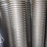 گلدان پلاستیکی سیاه گلخانه