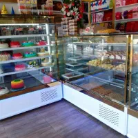 یخچال ایستاده مکعبی . قنادی. قصابی. پروتئینی|فروشگاه و مغازه|قدس, شهر‌قدس|دیوار