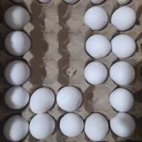 فروش تخم مرغ به صورت عمد و بخش به کل استان