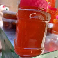 فروش عسل طبیعی