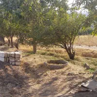 زمین کشاورزی