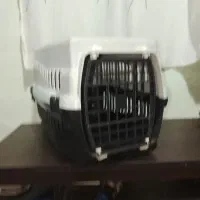 باکس سگ ها و گربه خانگی ، همراه با ظرف غذا استیل|لوازم جانبی حیوانات|تولم شهر, |دیوار