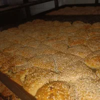 نیازمند شاگرد ساده