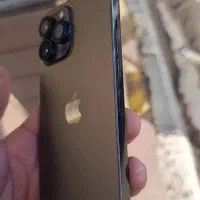 آیفون13پرومکس|موبایل|سقز, |دیوار