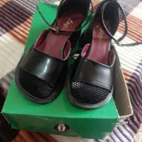 کفش ترند نو|کیف، کفش، کمربند|خرم‌آباد, |دیوار