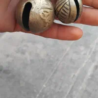 قرچه سگ