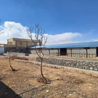 گاوداری ۲۰۰۰متری|فروش دفتر صنعتی، کشاورزی، تجاری|اهواز, دانشگاه چمران|دیوار