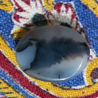 انگشتر شجر اصل