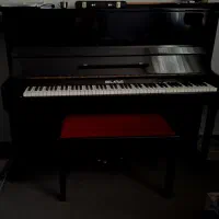 پیانو آکوستیک|پیانو، کیبورد، آکاردئون|شیراز, آزادگان|دیوار