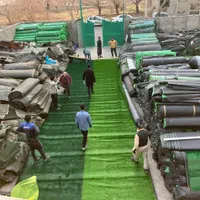 فروشگاه بزرگ grass