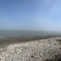 اجاره ویلای ساحلی پلاک ۱ساحل جکوزی دار