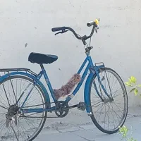 دوچرخه ژاپنی 26