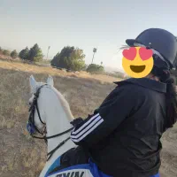 آموزش سوارکاری، گشت و طبیعت گردی با اسب