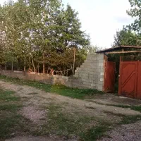 زمین-باغی