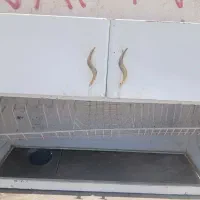 ابچک باکابینت سالم درحدنو