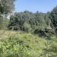 پیش-فروش-خانه-ویلایی