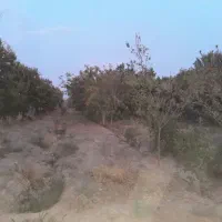 باغ 1700 متری . زمین ۶۰۰ متری قهجاورستان|فروش زمین و ملک کلنگی|اصفهان, قهجاورستان|دیوار