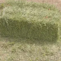 یونجه انباری|لوازم جانبی حیوانات|کنگاور, |دیوار