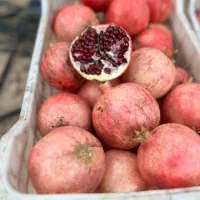 انار یاقوتی|عمده‌فروشی|ملایر, |دیوار