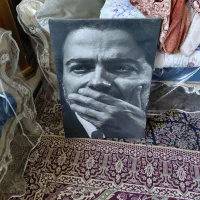 تابلو بوم نقاشی همایون شجریان