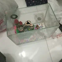 آکواریوم باپمپ|ماهی|تهران, جیحون|دیوار