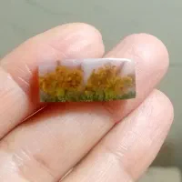 انواعنگینشجربهارهسوسنیو...کاملامعدنیوطبیعی|جواهرات|سرایان, |دیوار