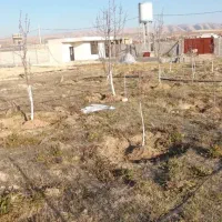 فروش باغشهری|فروش خانه و ویلا|سیاخ دارنگون, |دیوار