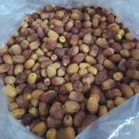 قصب سایز متوسط پاک شده فراشبند طعم و شهد بدون رقیب|خوردنی و آشامیدنی|شیراز, فرهنگیان|دیوار