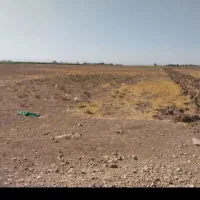 زمین|فروش زمین و ملک کلنگی|اسفرورین, |دیوار