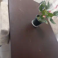 میز ناهارخوری|میز و صندلی غذاخوری|سمنان, |دیوار