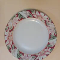 فروش سرویس چینی و شیشه ای