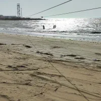 فروش مجموعه زیپ لاین و کافه رستوران با طرح مصوب|فروش دفتر صنعتی، کشاورزی، تجاری|چابهار, |دیوار