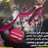 قالیشویی تجریش فرمانیه الهیه جردن نیاوران'قیطریه|خدمات نظافت|تهران, تجریش|دیوار
