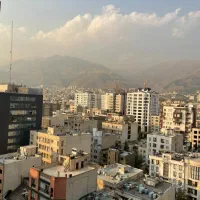 استخدام نیروی جوان