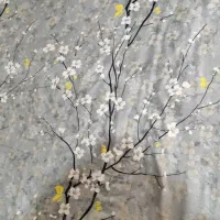 روتختی نو|سرویس روتختی|نسیمشهر, |دیوار