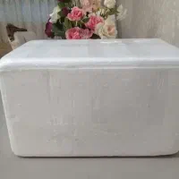 جای یخی یونلیت