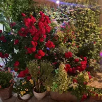 خانه دو طبقه شیک در خیابان ابوذر گلدیس|فروش خانه و ویلا|شاهین‌شهر, شهرک گلدیس|دیوار