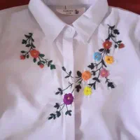 کار دست با نخ ابریشم|لباس|شیراز, اصلاح‌نژاد|دیوار