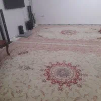 فرش کرم فروش|فرش|تویسرکان, |دیوار