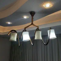 لوستر سالم درحد نو