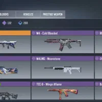 فروش|کنسول، بازی ویدئویی و آنلاین|قم, دروازه چوبی|دیوار