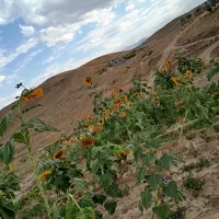 زمین و ملک